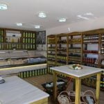 1350 gr Pet Geyikli Yöresinden Gemlik Tipi Siyah Zeytin (XS)